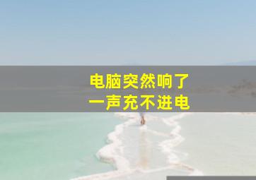 电脑突然响了一声充不进电