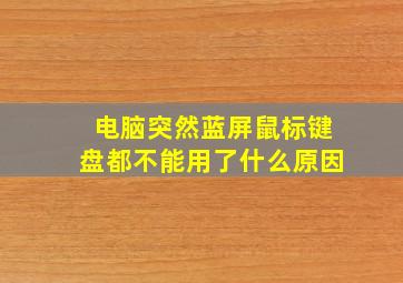 电脑突然蓝屏鼠标键盘都不能用了什么原因