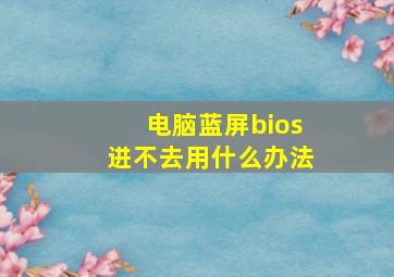 电脑蓝屏bios进不去用什么办法