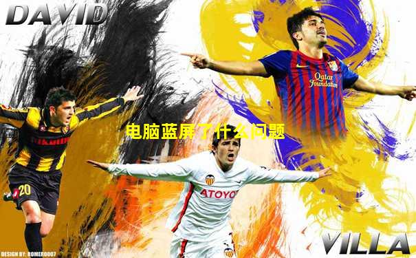 电脑蓝屏了什么问题