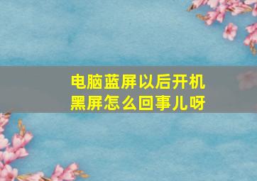 电脑蓝屏以后开机黑屏怎么回事儿呀