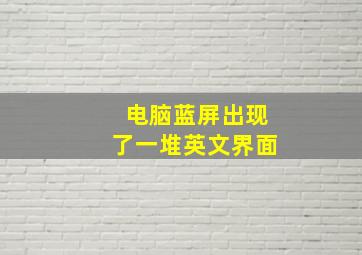 电脑蓝屏出现了一堆英文界面