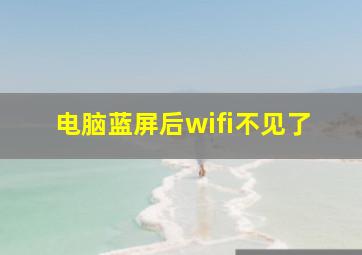 电脑蓝屏后wifi不见了