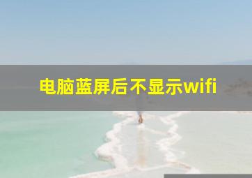 电脑蓝屏后不显示wifi