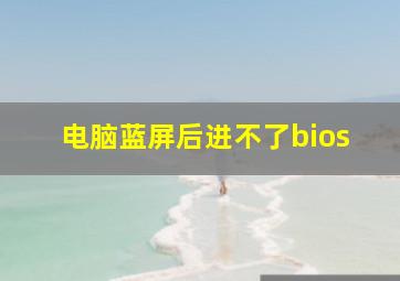 电脑蓝屏后进不了bios