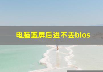 电脑蓝屏后进不去bios