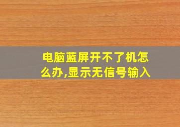 电脑蓝屏开不了机怎么办,显示无信号输入