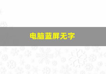 电脑蓝屏无字