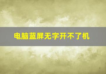 电脑蓝屏无字开不了机