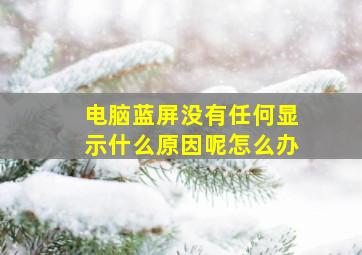 电脑蓝屏没有任何显示什么原因呢怎么办