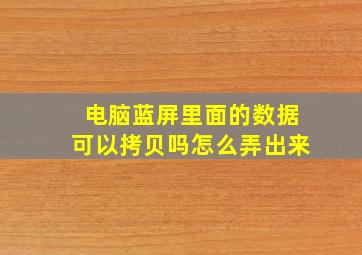 电脑蓝屏里面的数据可以拷贝吗怎么弄出来