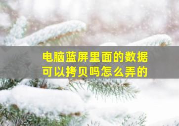 电脑蓝屏里面的数据可以拷贝吗怎么弄的