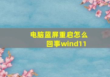 电脑蓝屏重启怎么回事wind11