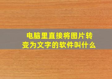 电脑里直接将图片转变为文字的软件叫什么