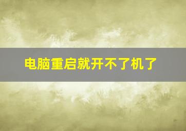 电脑重启就开不了机了