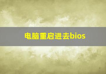 电脑重启进去bios