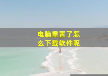 电脑重置了怎么下载软件呢