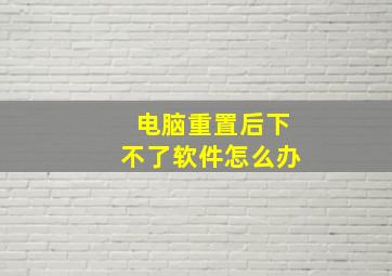 电脑重置后下不了软件怎么办