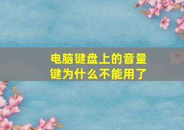 电脑键盘上的音量键为什么不能用了