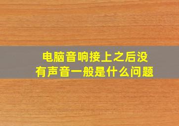 电脑音响接上之后没有声音一般是什么问题