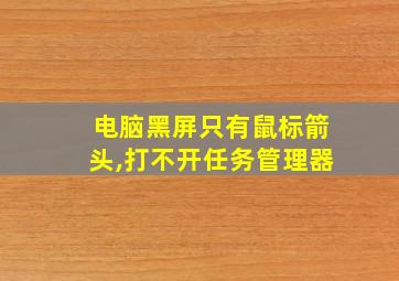 电脑黑屏只有鼠标箭头,打不开任务管理器