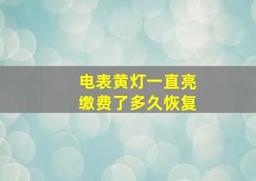 电表黄灯一直亮缴费了多久恢复