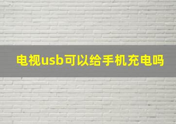 电视usb可以给手机充电吗