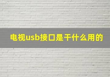 电视usb接口是干什么用的