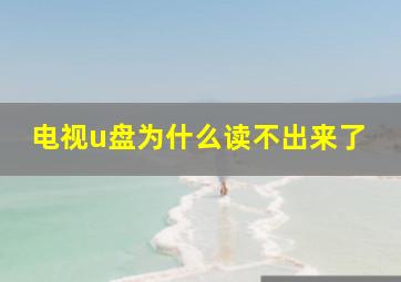 电视u盘为什么读不出来了