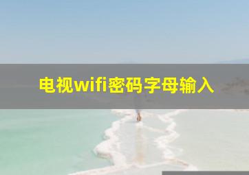 电视wifi密码字母输入