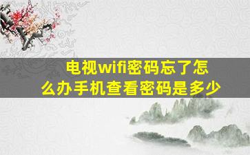 电视wifi密码忘了怎么办手机查看密码是多少