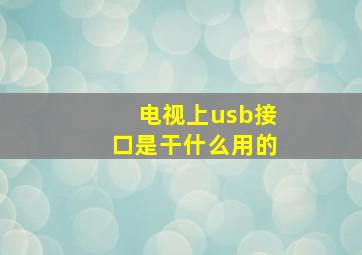 电视上usb接口是干什么用的