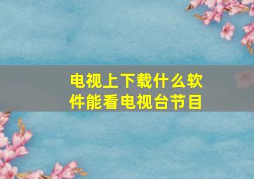 电视上下载什么软件能看电视台节目