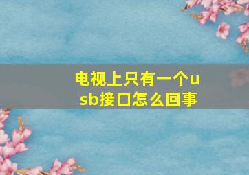 电视上只有一个usb接口怎么回事