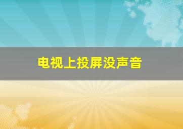 电视上投屏没声音