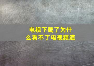 电视下载了为什么看不了电视频道