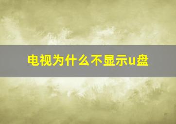 电视为什么不显示u盘