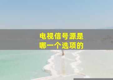 电视信号源是哪一个选项的