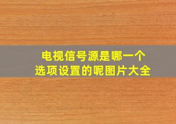 电视信号源是哪一个选项设置的呢图片大全