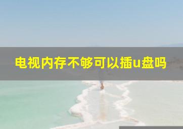 电视内存不够可以插u盘吗