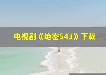 电视剧《绝密543》下载