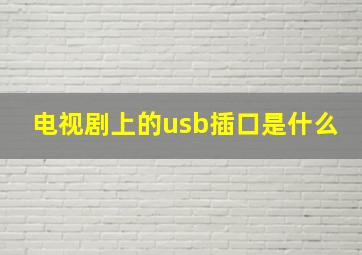 电视剧上的usb插口是什么