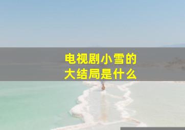 电视剧小雪的大结局是什么