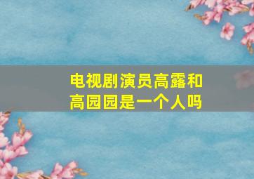 电视剧演员高露和高园园是一个人吗