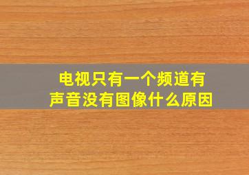 电视只有一个频道有声音没有图像什么原因