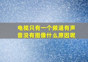 电视只有一个频道有声音没有图像什么原因呢