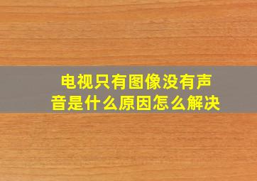 电视只有图像没有声音是什么原因怎么解决