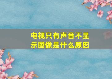 电视只有声音不显示图像是什么原因