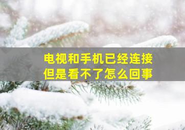 电视和手机已经连接但是看不了怎么回事