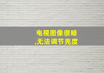 电视图像很暗,无法调节亮度